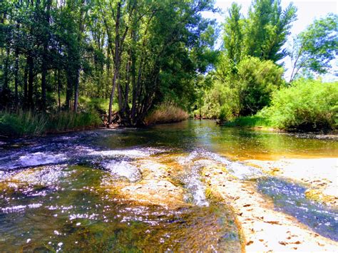 carrascosa de henares guadalajara